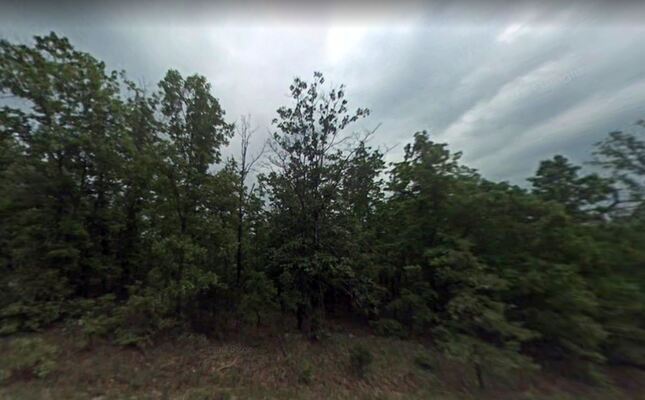 Beautiful 0.35 Acres in Izard County, AR