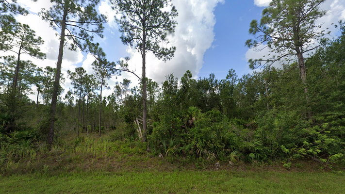 Do You Want to Call Florida Home? 0.17 Acre Buildable Lot!
