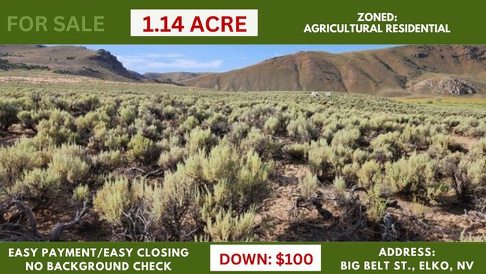 Own your slice of Wild West with remarkable 1.14-acre in NV!