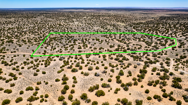 42 Acres with Tiny Cabin, Seasonal Wash, and BLM Land on 2 Sides