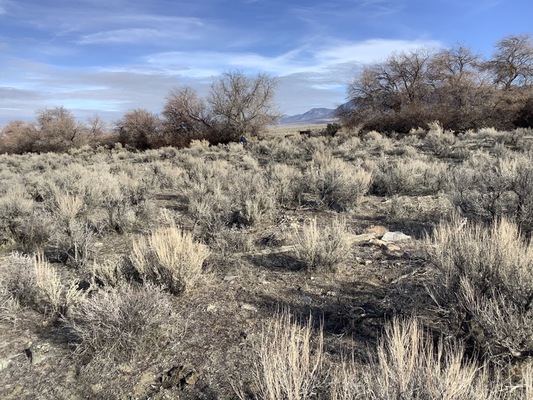 Pilot Valley - Prime Hunting and Ranching Land on 20 Acres