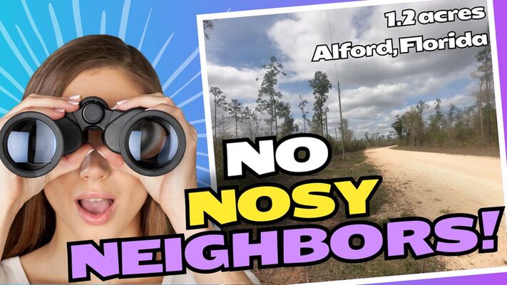 No Noisy Neighbors! Peace & quiet on 1.2 ac Alford, Florida