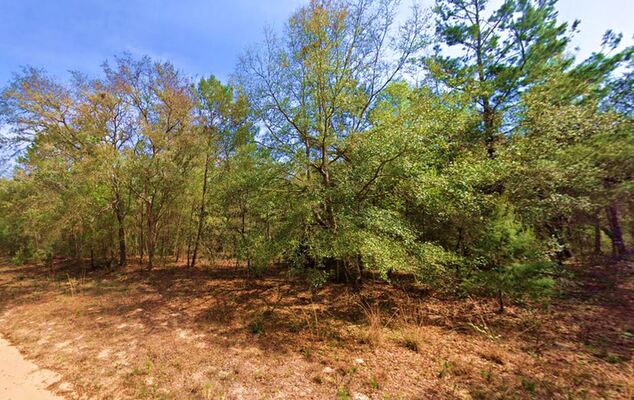 $199 Monthly for 0.22 Acres Offering Fantasy in Florida!