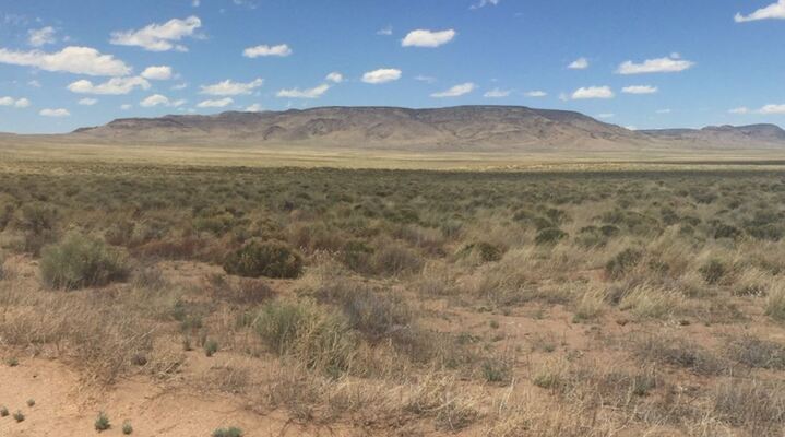 5 Acres in Southern Colorado's Rio Grande Ranches