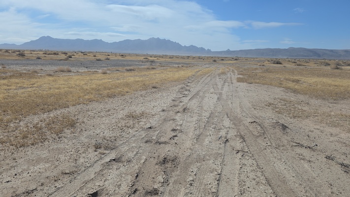 Love is in the Land! Own Your 2-Acre in Deming, NM $100/mo.!