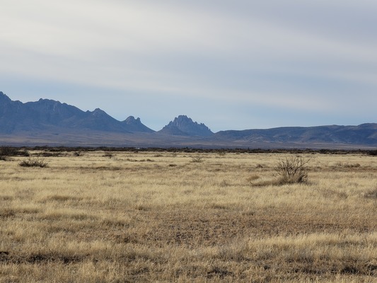 SOLD! 1 Ac in  Luna County - Yours for $89 Down & $89/Month!