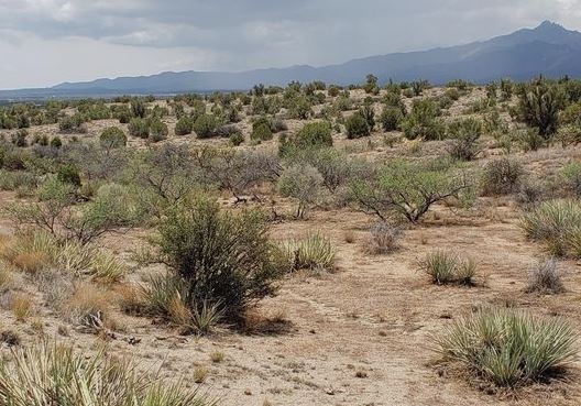 0.26 Acres, Discover Serenity in Mohave County: $80/Mo!