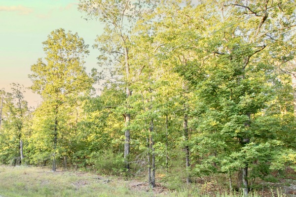 0.35 Acres in Horseshoe Bend, Arkansas - Only $89/month