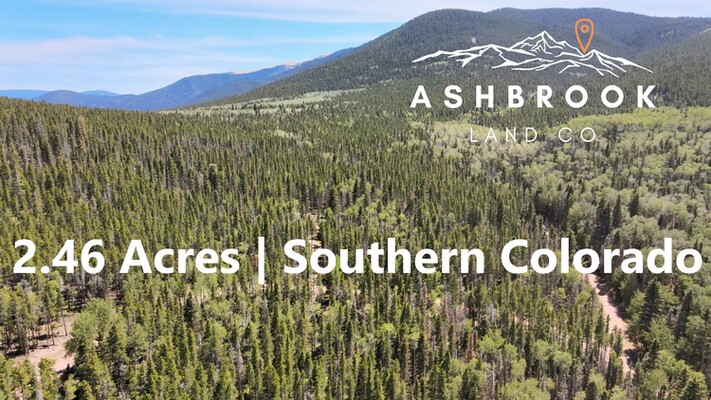 Off-Grid Colorado Mountain Land near National Forest