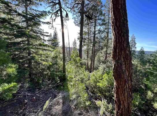 Modoc, California Land for Sale | Landmodo