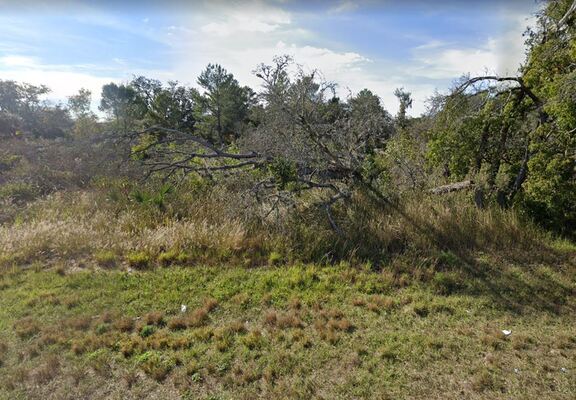 ENJOY THE DREAM LIFE IN FLORIDA ON 0.83 ACRES!!! ONLY $299/MO