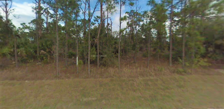 Private, Safe, Secluded and Tranquil 0.20 acre Residential Lot in FL. Only $100/Mo!