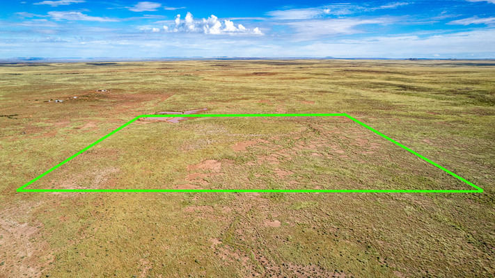 40.0 Acres Near Electric with a Watering Hole