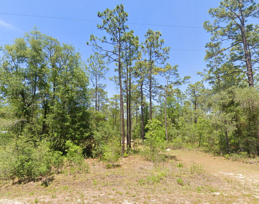 Unleash Your Legacy: 1/4 Acre Lot in Dunnellon,FL-$239/Mo!