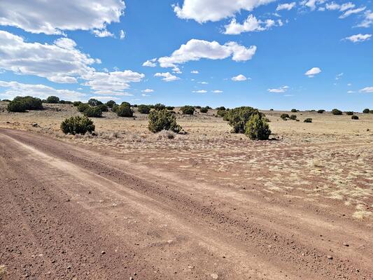 Apache County Escape: 1 Acre Desert Lot, $99 Down!