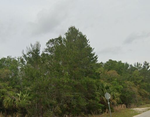 Peaceful 0.25 Acre Property in Putnam, FL! Only $199/Mo