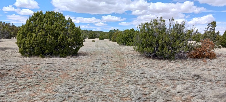 1.06-Acre Lot in Show Low Paradise for Just $209/Month!