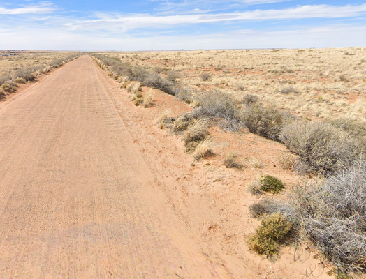 0.20-Acre Homesteading Oasis in Navajo, AZ. Only $109/MON