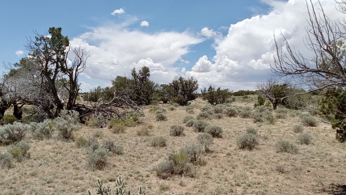 Get This - $110/mo for private Apache county land you can drive to!