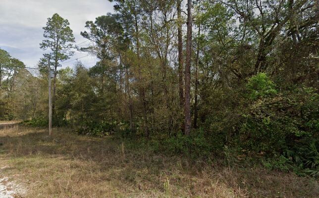 0.22 Acres Lot with Power Close to Lakes