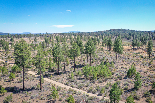 MUST SELL NOW KLAMATH COUNTY PARCEL OWNER FINANCED 2.38 ACRES