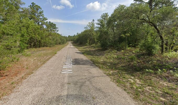 6393 North Pagoda Tree Terrace, Hernando, FL 34442 Land for Sale | Landmodo