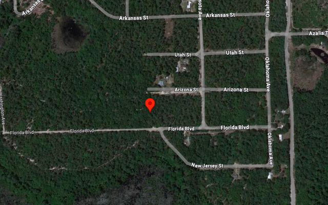 0.23 Acre Mobile Home Friendly Property in Satsuma