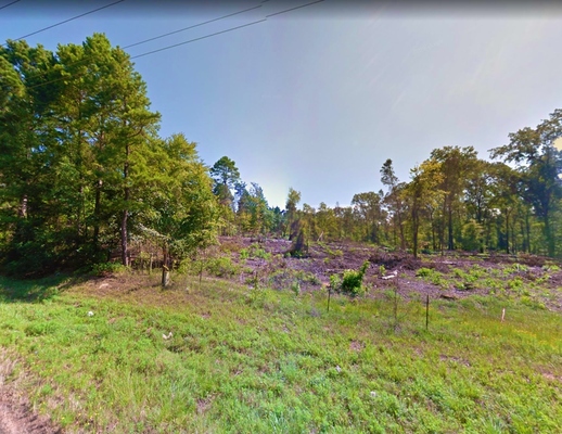 0.46 Acre in Avinger, Texas (only $200 a month)
