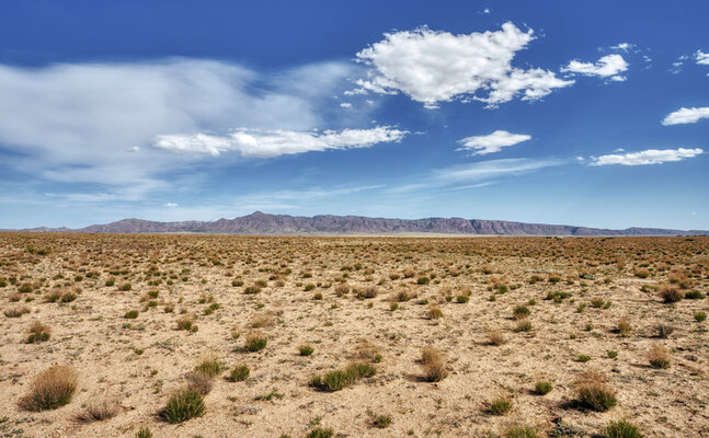 A Deep Dive into This 0.9-Acre Multi-Purpose Parcel in NM.  ONLY $100/Mo!