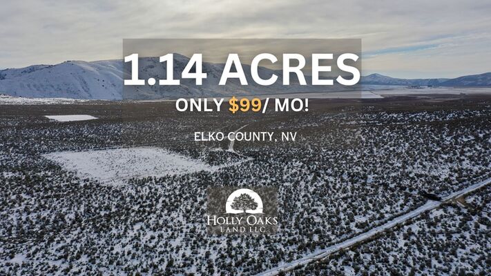 Born to Run on 1.14 Acres in Elko, NV $99/MO!