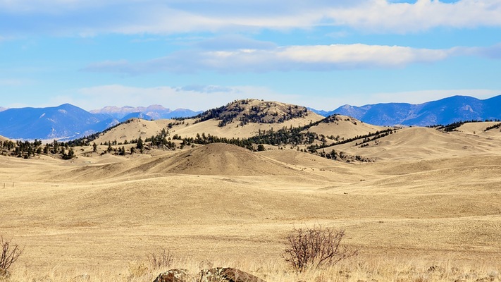 Price Drop!  6.6 Acres in Park County, CO