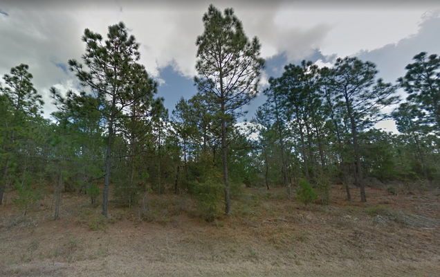 Feel Warm in Sunny Putnam County, Florida on This 0.62 Acre Lot. Only $499/Mo.!