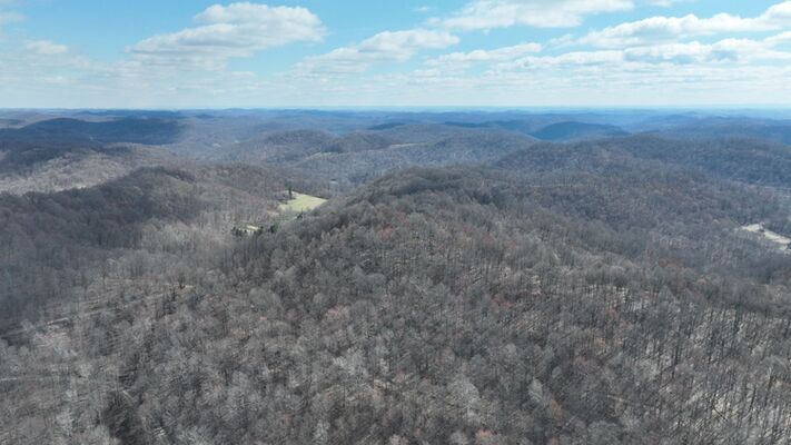 43.74 Unrestricted Acres in Harrison County West Virginia! 