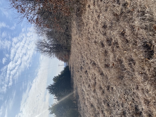 Enjoy your very own private lake view, 1.5 miles to boat ramp/small marina