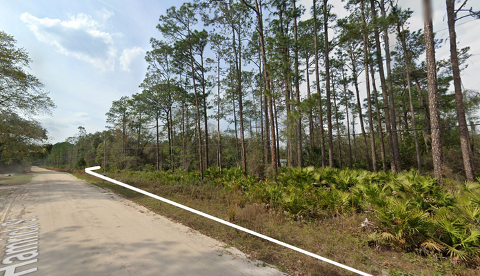 Start planning Your Dream Retirement! Wooded 0.22 Acres Land