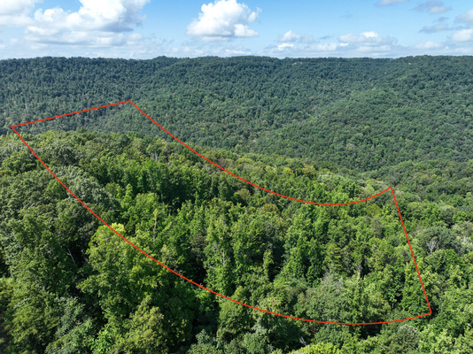 26.29 Acres of Tennessee Land with Electric, Water, and Fiber Optic Internet!