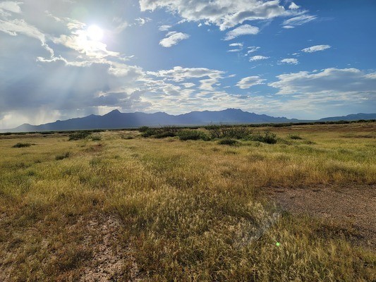 Smart 1 Acre Choice in NM only $99 monthly