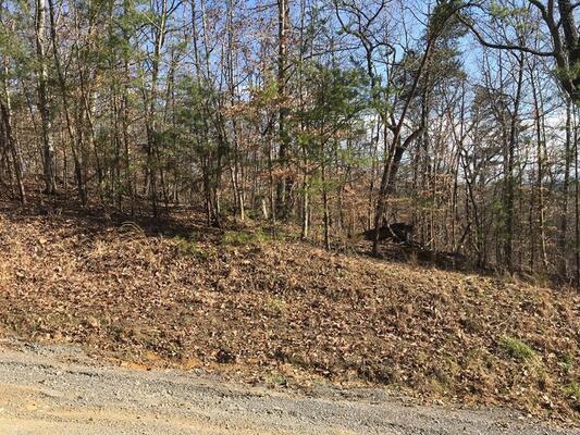 0.4 Acres Wooded Lot in Baneberry, TN
