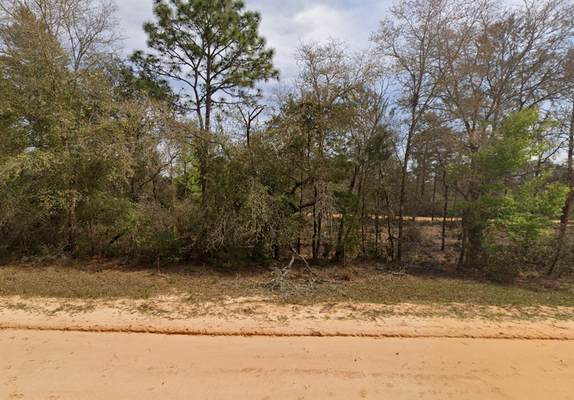 Secluded & Serviced: .22Ac Woodland in Putnam, FL! $207/Mo