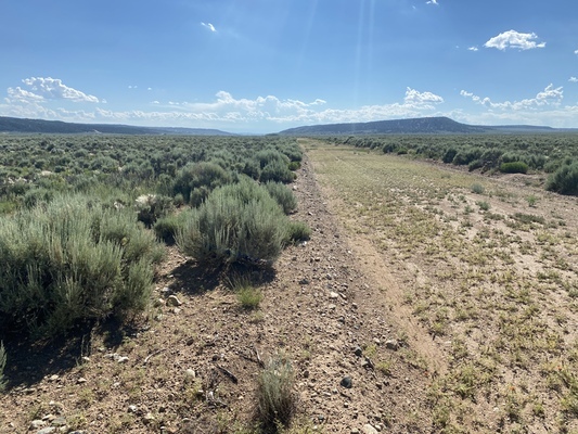 5 Acre Space in Colorado to Call your Own only $175 Mo