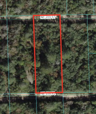 Golden Rays of Opportunity! .42 Acres in Marion, FL $277/Mo.