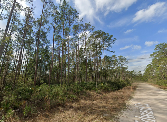 Catch This FL Lot While It’s Hot – Only $180/mo!