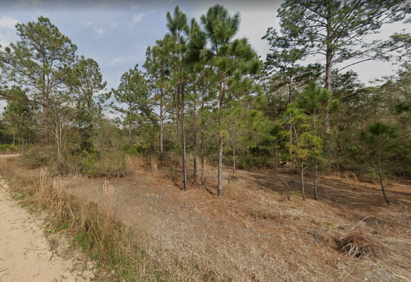 Live It Up on This 0.44-Acre Lot in Putnam County, Florida. Only $299/Mo.!