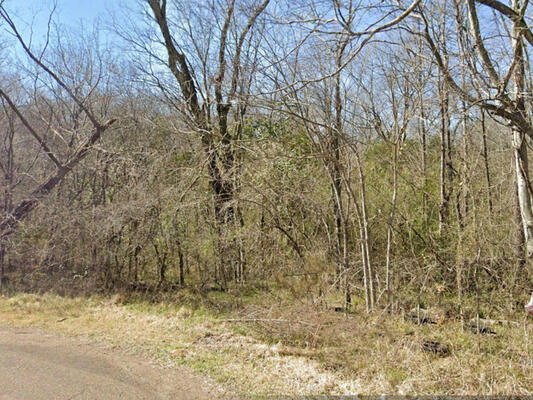 0.35 acres in Hinds County, Mississippi - Less than $180/month
