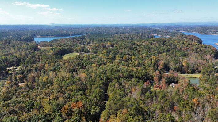 Live the Dream in Oconee, SC: 0.71 Acres, Low Down, Affordable Payments, and Endless Possibilities!