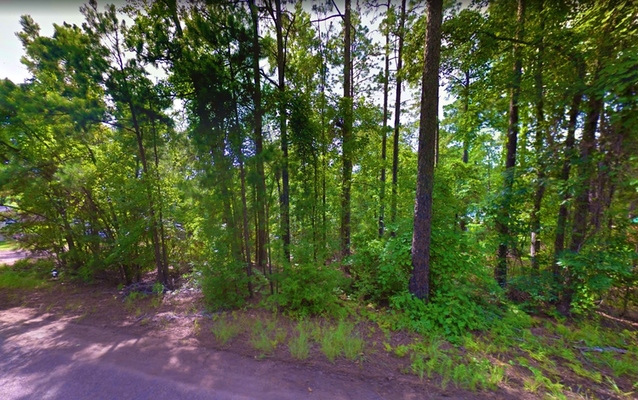 0.16 Acre in Brookeland, Texas (only $200 a month)
