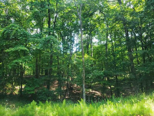 0.78-acre Vacant Residential Lot in Hot Springs County, AR