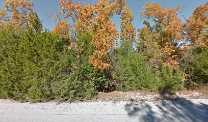 0.33-Acre of Happiness in Izard County, AR - $150/MO!
