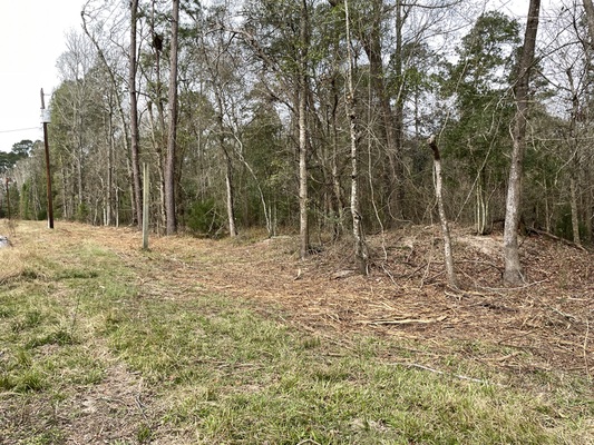 Unrestricted Double Lot near Lake Livingston in Hoot Owl Hollow