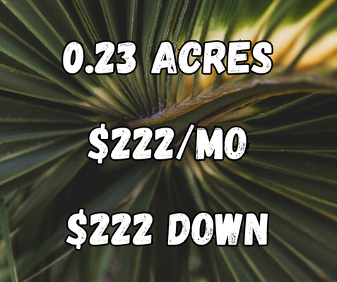 0.23 Acres Near Lake/Golfing in Sebring, FL $222/Mo! [100C6]